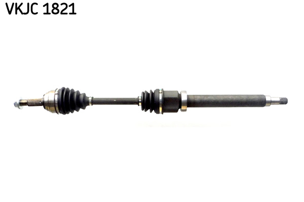 Planetara VKJC 1821 SKF